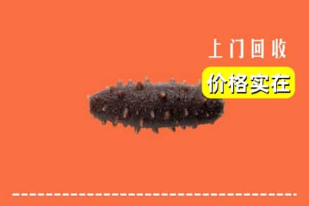 滨州滨城区回收海参