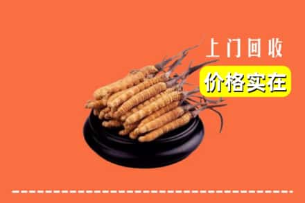 滨州滨城区回收冬虫夏草