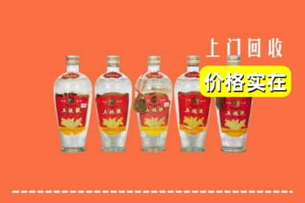 滨州滨城区回收老五粮液
